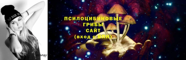ГАЛЛЮЦИНОГЕННЫЕ ГРИБЫ Баксан