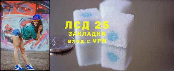 ГАЛЛЮЦИНОГЕННЫЕ ГРИБЫ Баксан