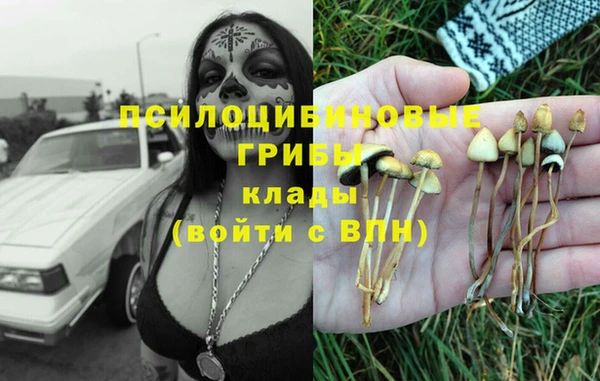а пвп мука Балабаново