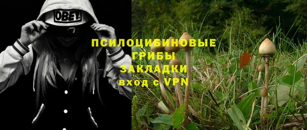 прущая мука Арсеньев
