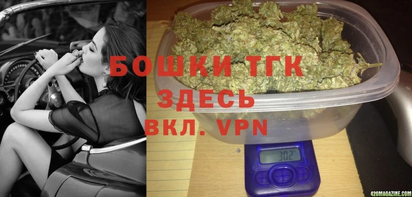 прущая мука Арсеньев