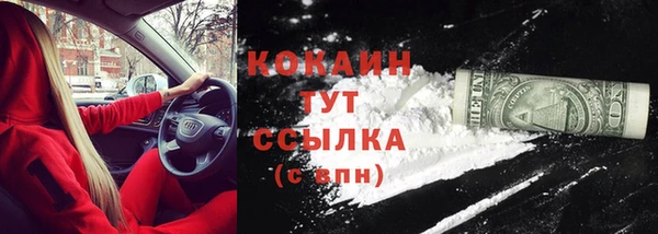 ГАЛЛЮЦИНОГЕННЫЕ ГРИБЫ Баксан